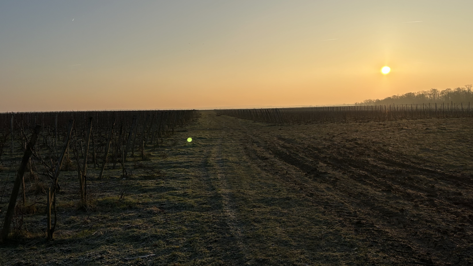 Un autre vin – Valentin Morel